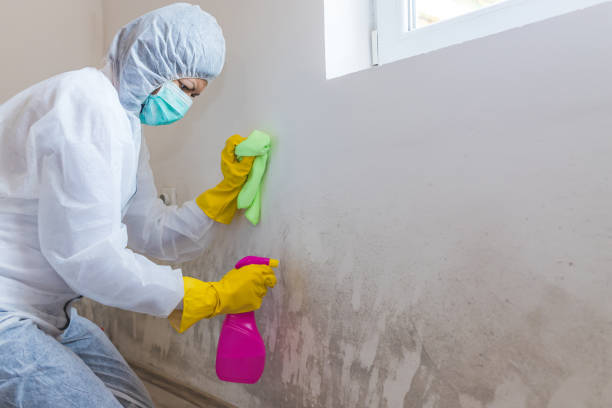 Best Asbestos and Lead Testing During Mold Inspection  in USA